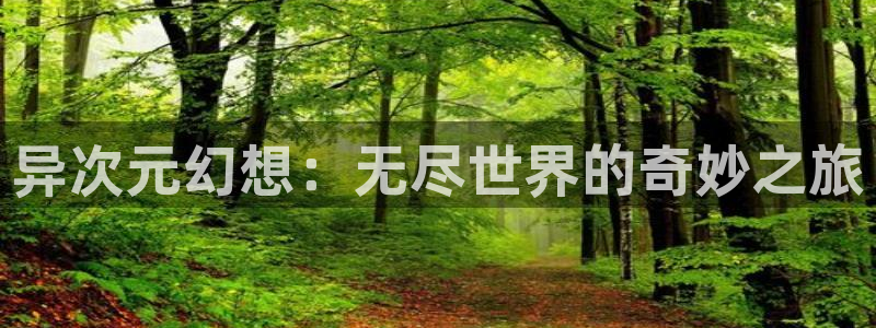 爱看漫画,爱看漫画：异次元幻想：无尽世界的奇妙之旅